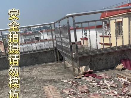 希望的田野19:记录乡村户外活动🤭