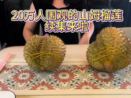 山姆榴莲到底值不值得买? 真实开箱后个人感觉中规中矩,没有很惊艳,买的话可以考虑199的#山姆榴莲盲盒 #真实生活分享计划 #爱吃榴莲的宝宝