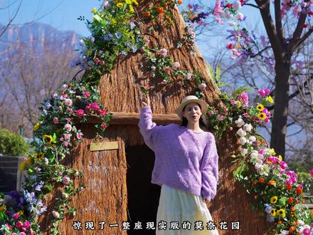 我的天,山顶山谷都被郁金香花海包围,太治愈了。 #春天的风吹到了宝泉郁金香花海