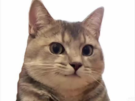 多邻国,真的很有用! #多邻国自动扣费588