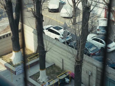 一切又回到了从前。松下S5二代,感觉色彩比富士好看些。#一切又回到了最初的样子 #松下s5 大学生活#大学生活日常