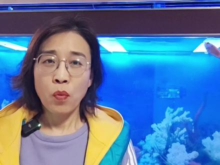 新主播的专属礼物,何为天鹅之梦?你拿到天鹅之梦就起飞了吗?#经验分享主播 #聊天主播 #直播 #抖音主播 #天鹅之梦