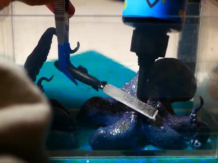 如何制作海怪立体画?牛人用环氧树脂一试,成品惊艳众人!