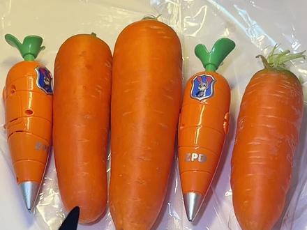 胡萝卜录音笔正版盗版有什么区别! #太好了是迪士尼