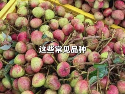 原来我们一直吃的,都是死荔枝吗??(原来新鲜的荔枝果肉是透明的!!) #荔枝 #水果 #南方人北方人 #万万想不到 #美食
