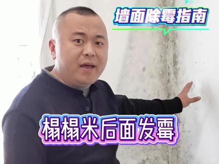 榻榻米和衣柜后面发霉你就这样处理保证不复发 #墙面发霉 #衣柜发霉 #墙面除霉 #除霉 #长春墙面除霉