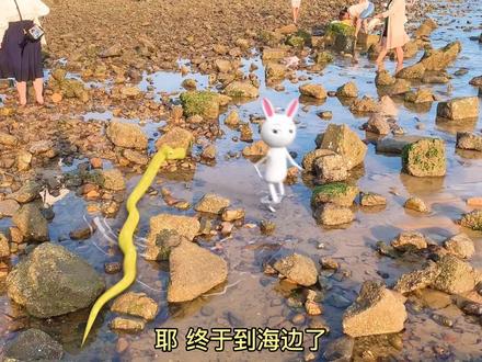 #忍兔 和#火蛇 坐地铁出去玩了#搞笑动画 #二次元 #动画片