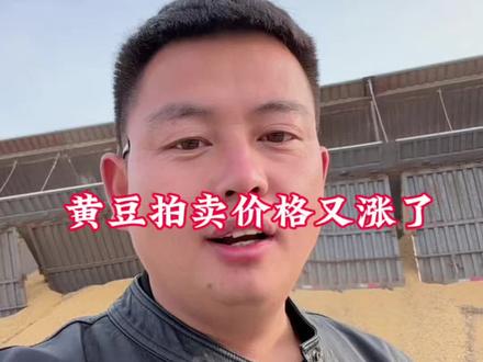 伊犁黄豆 黄豆价格再次上涨,真的没发再优惠#黄豆价格 #
