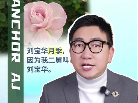 “宝华月季”爆火!一次抽象玩梗,换来二舅“名垂花史”! (素材来源:@植物眼 )#网友在取名这块没输过 #宝华月季 #万万没想到