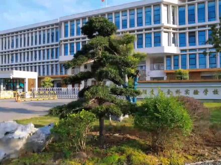 江阴市青阳镇金桥实验小学#教育 #航拍