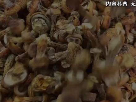 2025年江西蘑菇产量前十。#江西 #蘑菇 #产量 #科普