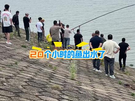 雨天河边滑,注意安全保护环境。 #钓友聚集地 #东荆河#钓鱼人就是这么疯狂