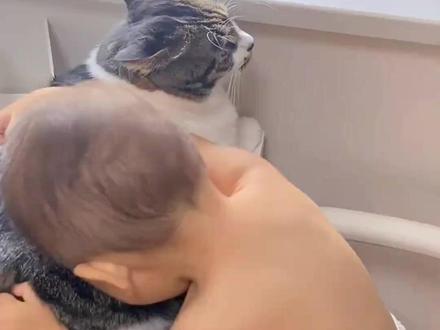 猫咪为什么不会主动攻击小孩子? #猫咪 #猫