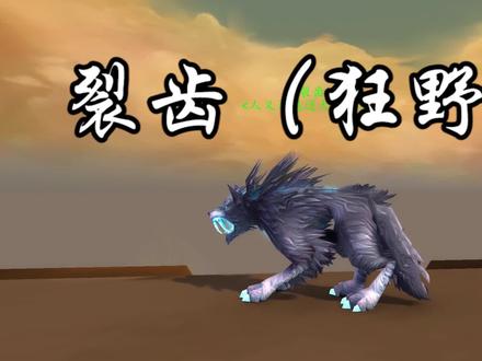 【兽王猎宠物收藏】盘点潘达利亚那些值得收藏的猎人宠物 #魔兽世界 #猎人宠物 #兽王猎 #潘达利亚 #攻略