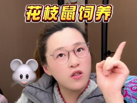 花枝鼠合仓鼠梦一起养吗?#花枝鼠 #仓鼠 #花枝鼠仓鼠 #冷知识