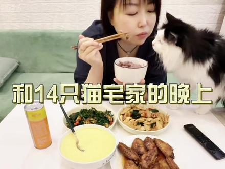 44岁单身vlog|和14只猫宅家的晚上 #王家粮仓#糙米#王家粮仓轻食米珍米#杂粮米