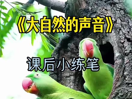 三上 《大自然的声音》课后小练笔解答 #课后小练笔 #预习课本 #三年级语文重点归纳