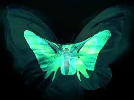 明年花季蝶翩翩,徘徊不见伊人影,蝶骨是人类对浪漫至死不渝的最好体现。#口袋人体解剖#蝶骨 #原创 #医学生