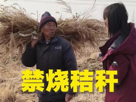 乡亲们,冬日天干物燥风又大,秸秆禁烧别大意!一把星火易酿灾,烧荒毁田还违法,防火护村,人人有责,平安过冬靠大家!#秸秆禁烧 #创作者扶持计划