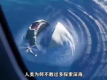 格兰玛雅vs巨鲲,谁才是真正的海洋霸主?