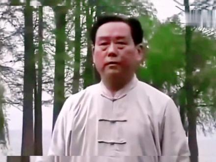 传统杨氏85式太极拳-赵幼斌