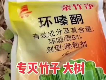 专杀大树、竹子、杂草、烂根除根,一次根除!请合理使用!#杂竹净#农药#农技知识分享 #优质农产品 #抖音助农