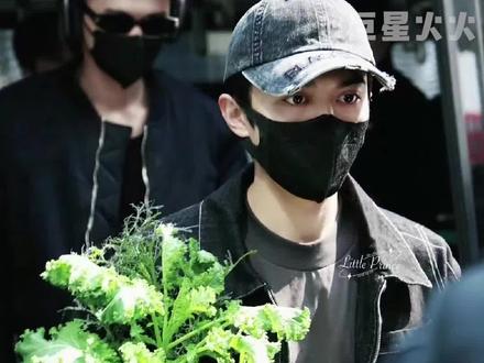 羽衣甘蓝就是赵小童的幸运物吧#赵小童 #种地吧#光言赵小童