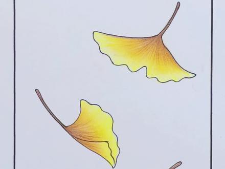 秋风生渭水,落叶满长安/今天用彩铅一起来画银杏叶吧#手绘 #原创绘画 #一起学画画 #零基础学画画 #画画 #彩铅