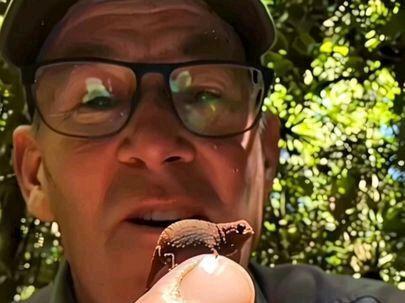 带你一口气认识世界上最小的事物!#科普 #离谱 #涨知识