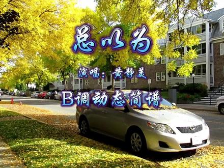 《总以为》B调动态简谱伴奏