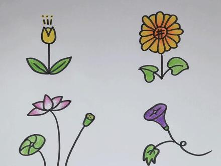 花卉的六种画法,喜欢收藏哦#画画 #一起学画画 #画画 #简笔画 #美术 #少儿美术 #绘画