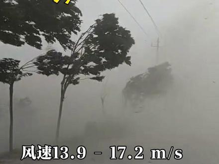 不同级别的风力,你都见过吗?(注:风力或因实际条件有不同表现,视频仅供参考)#定州 #大风#风力等级