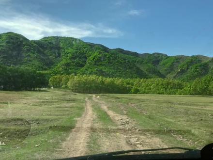 大连庄河长岭,这里有一片特别适合汽车露营的幽静河谷开阔林地
