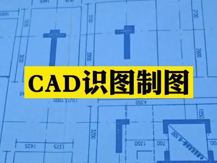 #各种标高代号#学浪计划 #热门 #抖音小助手 #我的快乐提前来了 #啥都不挺就挺你 #CAD识图制图