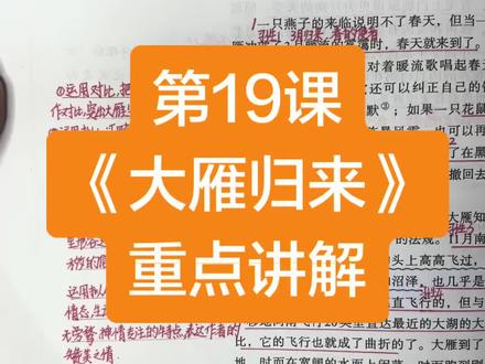 七上语文第19课《大雁归来》讲解。#七上语文#第19课#大雁归来