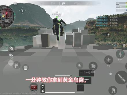 一分钟教你如何拿到黄金鸟窝