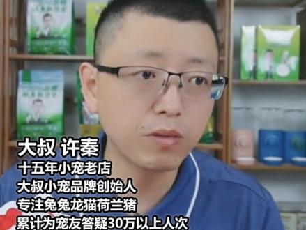 兔子为什么会胀气?兔子胀气怎么办?什么是肠梗阻?该怎么办?#宠物兔子的日常