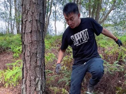 这个时候上山,真是捡到宝了#花卉绿植 #养花小知识 #兰花