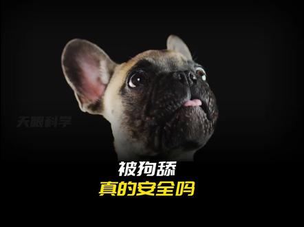 养猫狗的一定要多注意这种病菌,尽量避免与宠物舔舐等接触!#宠物 #舔狗 #知识科普 @DOU+小助手