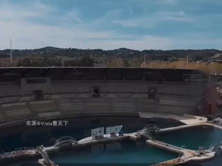 心碎!虎鲸母子被困废弃海洋公园