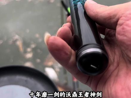 十磨一剑的沃鼎王者神剑四代终于来了,现在价格给力还送大礼包#钓鱼知识 #钓鱼的乐趣只有钓鱼人懂 #鱼竿 #鱼竿测评 #钓鱼人