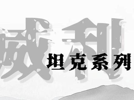 主流品牌不同系列打感适合什么样的打法-第一期威利TK系列