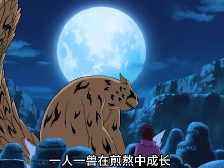 宠物志:一尾守鹤,沙漠中的喷子也有折服的一天 #守鹤 #我爱罗