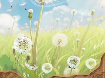 #甲骨文 #汉字的前世今生 #字古以来 无形无影的“风”是怎么被记录的?