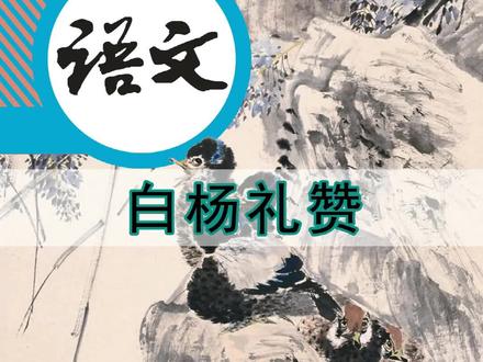 语文八年级上册078《白杨礼赞》丨#课文朗读#初中语文#磨耳朵#萌知计划@抖音青少年