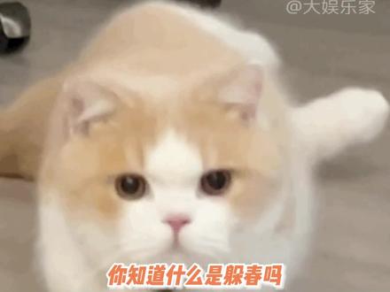 这些生肖的朋友要注意啦#躲春 #生肖 #风俗