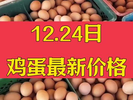 12.24日鸡蛋最新价格
#养鸡 #养鸡人 #养蛋鸡
@抖音小助手 @DOU+小助手