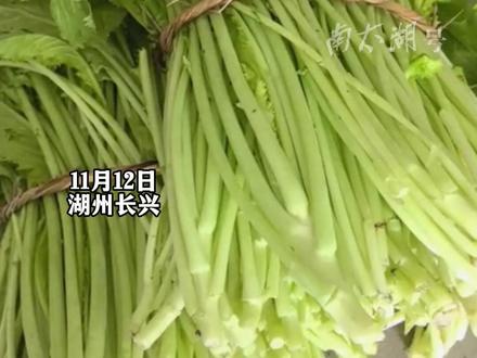 许多人记忆中的冬天是从腌菜开始的!大缸腌雪里蕻!脚踩的更香?(记者:孙建见 制作:垚垚)#腌菜