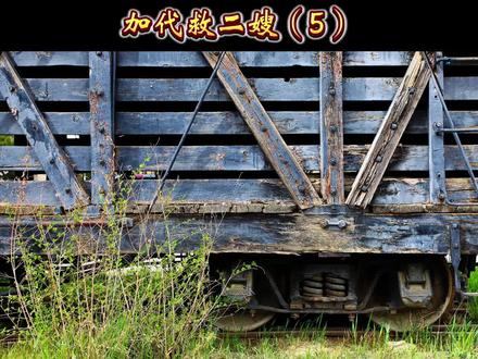 加代救二嫂 第5集#仁义大哥加代
#上热门🔥