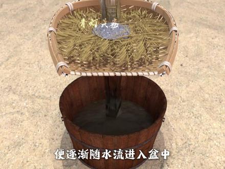 在没有海盐的年代,古人靠什么吃上盐?居然是没人要的芦苇! 《芦苇制盐》#百young非遗计划 #非遗新青年 #值此青春 #非遗传承界来了一群宗门天骄 #盐
